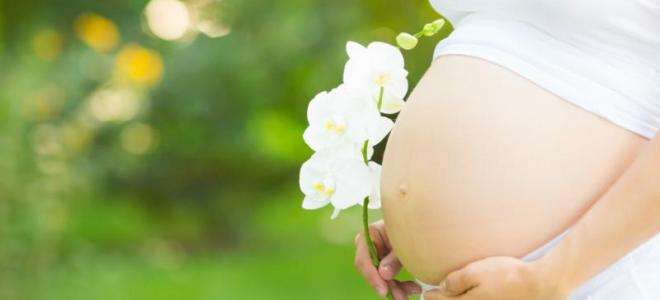 Bachblüten in der Schwangerschaft